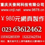 供應(yīng)九龍坡網(wǎng)站建設(shè)公司及軟件開發(fā)服務(wù)，助力燈具照明企業(yè)拓展市場