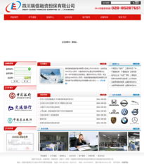 瑞信融資擔保與卡瑞網絡攜手打造精品網站建設案例展示